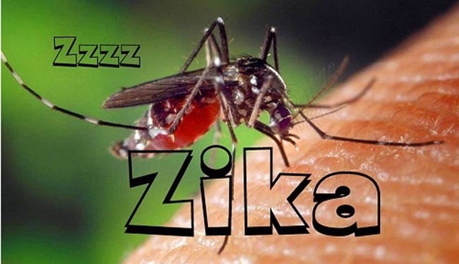 Tại Việt Nam đã phát hiện 5 trường hợp nhiễm virus Zika
