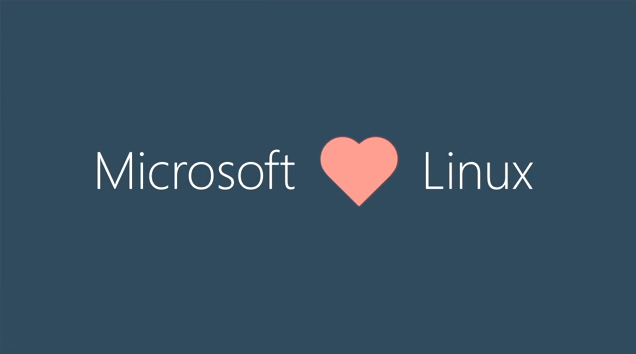 Microsoft "kết hôn" Linux - Ảnh: The ArsTechnica