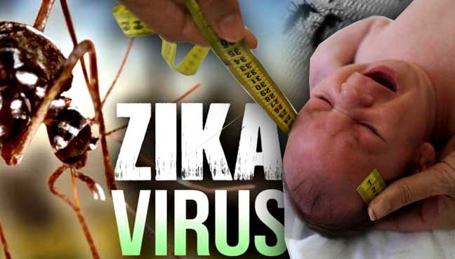 Tốc độ lây nhiễm vi rút Zika tại TP HCM cao.