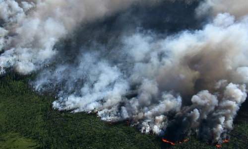 Đợt cháy rừng lớn được cho là hậu quả của biến đổi khí hậu. Ảnh: Futurism.
