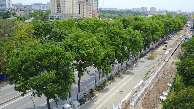 Theo kế hoạch việc chặt, hạ cây xanh 2 bên đường Phạm Văn Đồng trước ngày 30/9.