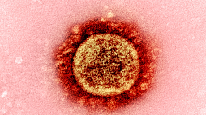 Công nghệ CRISPR làm ngưng sự lan truyền của virus Corona trên người (Ảnh: Free Think)