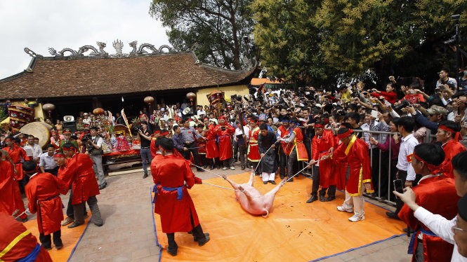 “Ông ỉn” được đưa ra giữa sân đình để khai đao tại lễ hội chém lợn ở Bắc Ninh năm 2015 - Ảnh: NG.KHÁNH