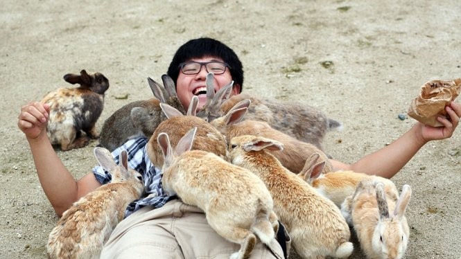 Cậu bé thích thú nằm xuống để các con thỏ quây quanh - Ảnh: Paul Brown/Daily Mail