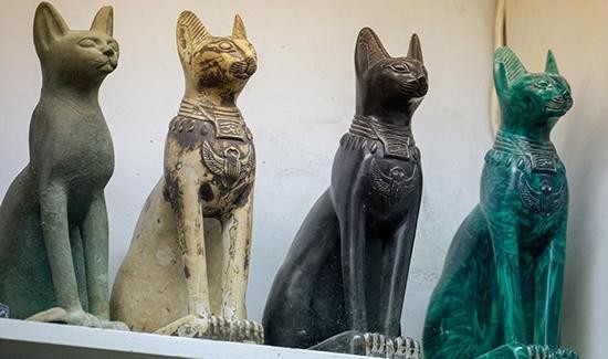 Đối với người Ai Cập cổ đại, mèo là một trong những sinh vật linh thiêng.