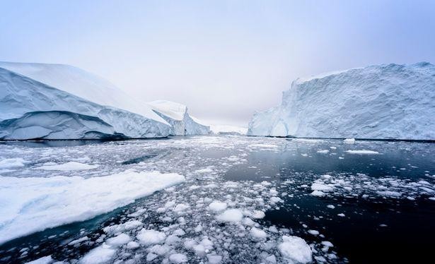 Ảnh: Getty Image