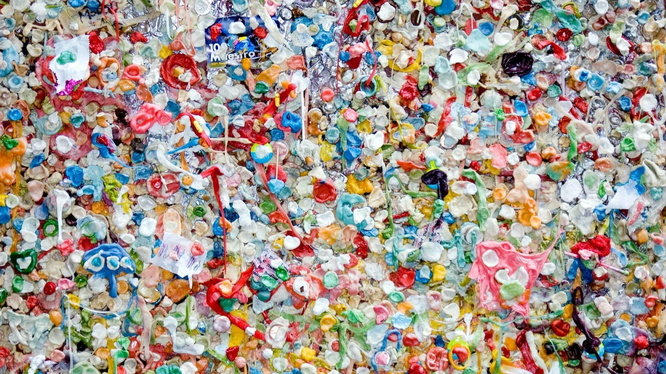 Những vi nhựa (Microplastics)