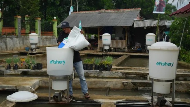 Robot phân phối thức ăn thủy sản eFishery tại một trang trại cá ở Subang Regency ở Tây Java, Indonesia, tháng 6/2022. Ảnh CNBC