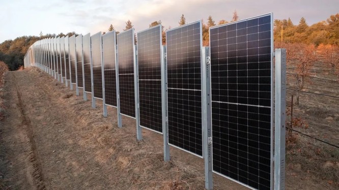 Pin điện mặt trời thẳng đứng hai chiều dành cho nông nghiệp của công ty Sunstall, Mỹ. Ảnh Engineering Interesting