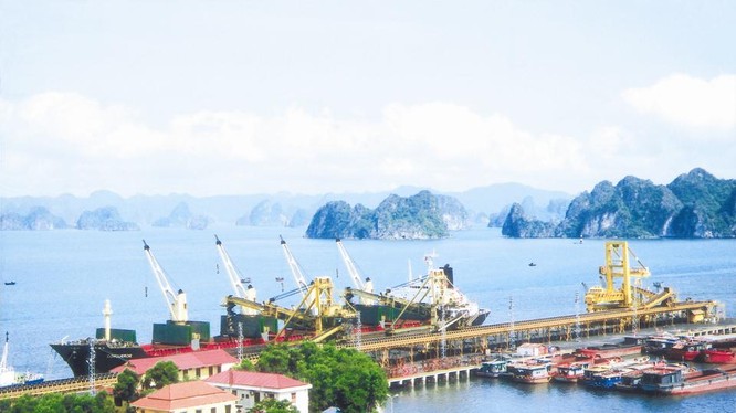 Đến lượt cảng Quảng Ninh được Vinalines rao bán