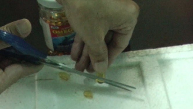 Chi cục ATVSTP tiến hành cắt viên dầu cá thử nghiệm trên miếng xốp - Ảnh: T.M