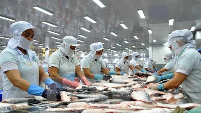 Vụ kiện cá da trơn năm 2013 đã khiến Việt Nam thiệt hại hàng tỷ USD.