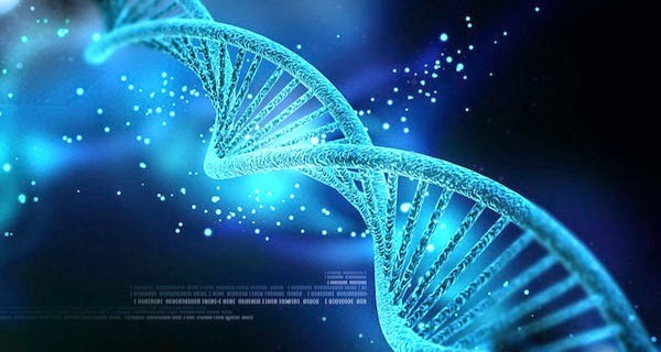 Giải mã ADN rất cần đến công nghệ thông tin. Ảnh: blogsinhhoc.com