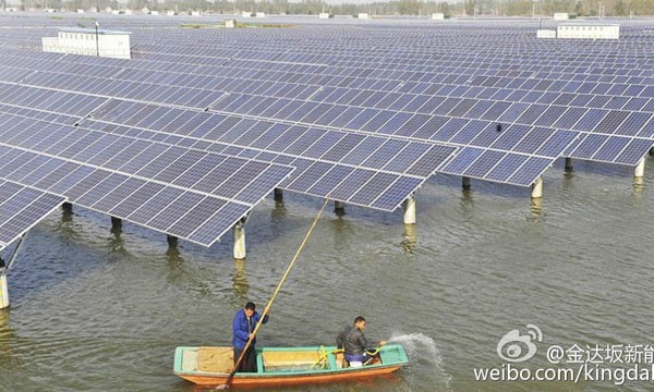 Hồ câu cá lưu trữ các tấm pin mặt trời (Nguồn: Tài khoản weibo kingdabar)