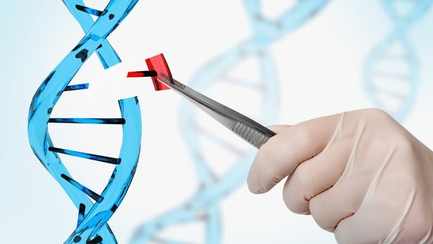 Có thể chỉnh sửa gene người để chống lại một số bệnh tật? (ảnh minh họa: New Atlas)