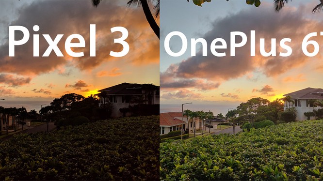 Pixel 3 chụp ảnh chưa hẳn đã đẹp hơn OnePlus 6T (ảnh: Business Insider)