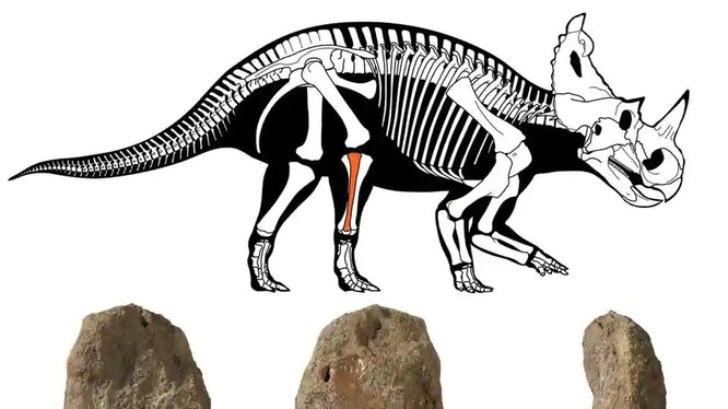 Loài khủng long ăn cỏ này sống cách chúng ta khoảng 76 triệu năm