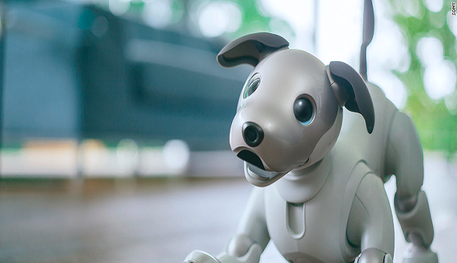 Chú chó robot Aibo của Sony tạo ra sự thu hút lớn tại CES 2018 (Ảnh Reuters)