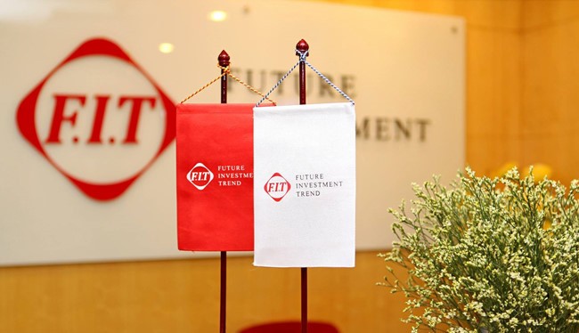 Dũng Tâm gom thêm 10 triệu cổ phiếu FIT, nâng tỷ lệ sở hữu lên 30,27%. (Ảnh minh họa: Internet)