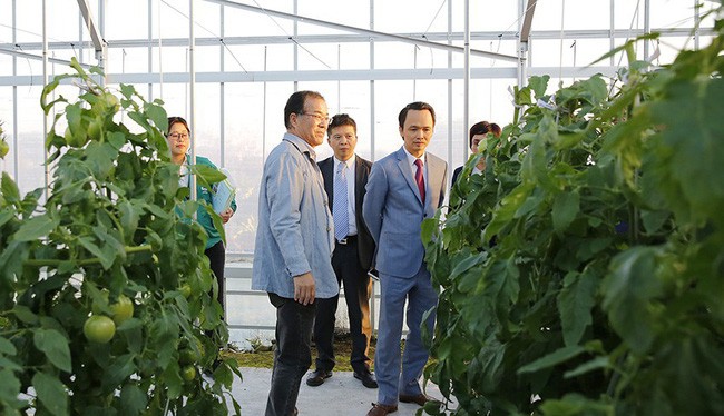 Phát triển nông nghiệp công nghệ cao là một hướng đi trọng tâm mới của Tập đoàn FLC. (Ảnh: FLC)