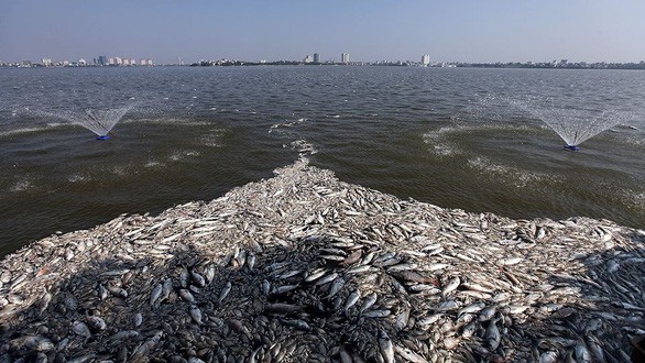 Hóa chất Redoxy 3C được Công ty Thoát nước Hà Nội dùng xử lý sự cố cá chết hàng loạt gây ô nhiễm nước hồ Tây - Ảnh: T.Đ.H