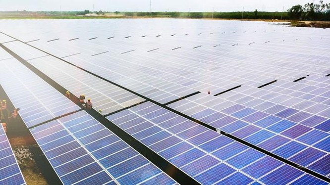 Dự án Nhà máy năng lượng mặt trời Phù Mỹ (Nguồn: BCG)