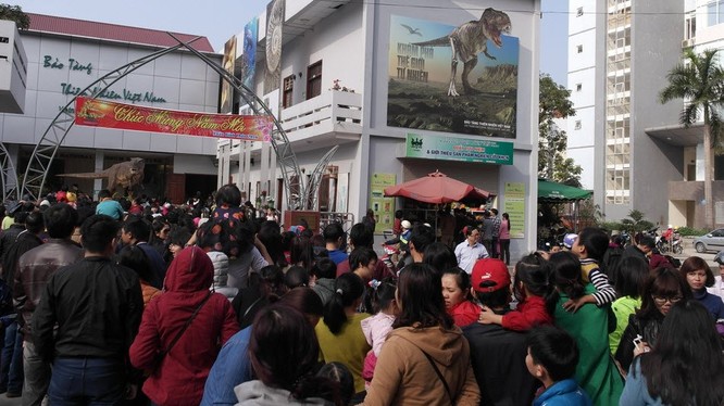 Bảo tàng Thiên nhiên quá tải vì dân đến xem cụ Rùa