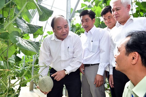 Thủ tướng thăm mô hình nông nghiệp công nghệ cao tại Bình Phước. Ảnh: VGP/Quang Hiếu