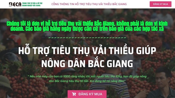Cổng thông tin hỗ trợ tiêu thụ vải thiều do hiệp hội Doanh nghiệp tỉnh Bắc Giang xây dựng.