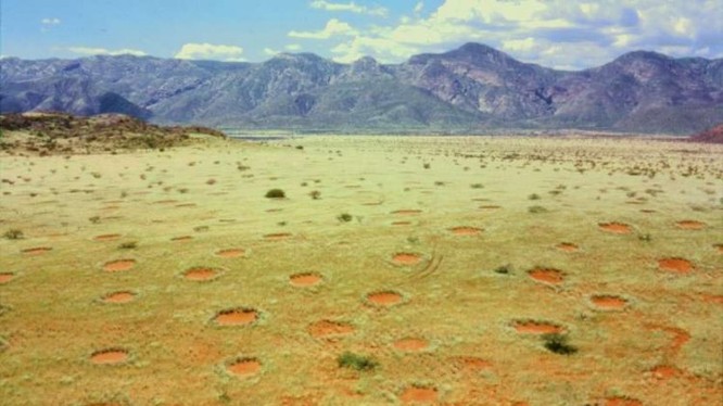 Những hình tròn được phân bố đồng đều khắp vùng Namib, Namibia (Ảnh: OC)