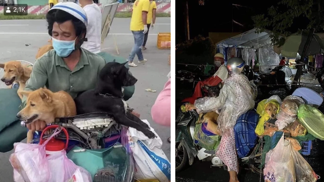 Hình ảnh cặp vợ chồng chở 15 chú chó từ Long An về Cà Mau được chia sẻ trên mạng xã hội (Ảnh - FB) 