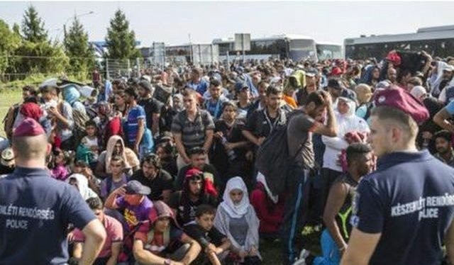 Cảnh sát Hungary và người tị nạn tại cửa khẩu với Croatia. Ảnh: AP