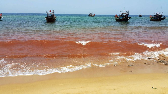 Vệt nước đỏ đục dài 1,5km xuất hiện ở bãi biển xã Nhân Trạch sáng 4-5 - Ảnh: M.P