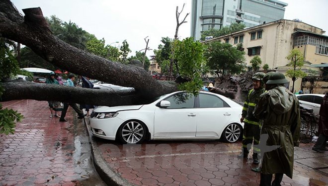 Gió lớn quật đổ cây, đè bẹp xe ô tô trenen phố Hai Bà Trưng, Hà Nội