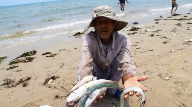 Ngư dân bị thiệt hại nặng nề sau sự cố cá chết 4 tỉnh miền Trung.