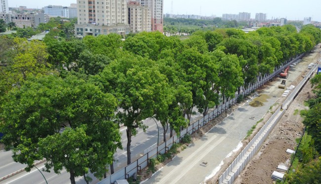 Việc chặt hạ hơn 1.000 cây xanh mới chỉ là đề xuất của Ban Quản lý đầu tư xây dựng các công trình giao thông Hà Nội.