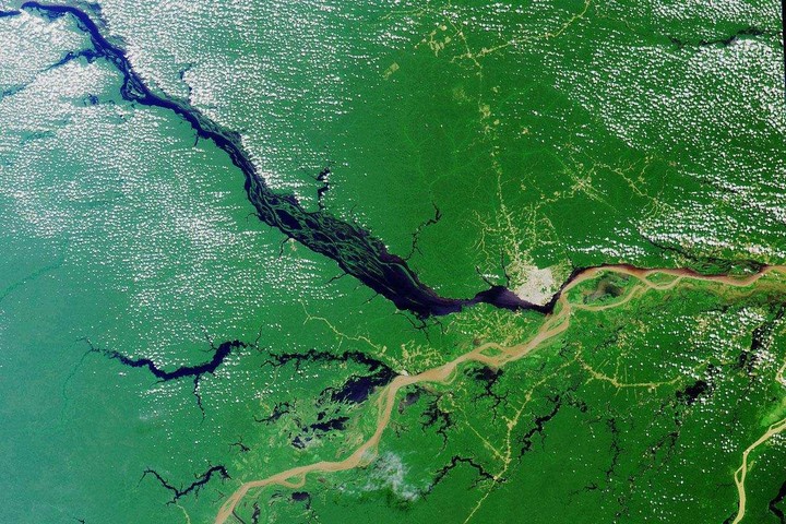 Vì sao không có cây cầu nào dám bắc qua sông Amazon?