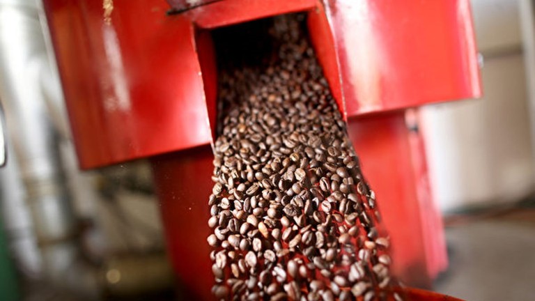 Giá cà phê hạt Robusta hiện ở mức cao nhất kể từ năm 2008 (Ảnh: Getty)