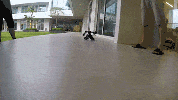 Robot chiến đấu thực tế bước vào đời sống (video) ảnh 1