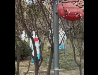 Trung Quốc: Video cảnh đuổi bắt người nhập cảnh trốn cách ly gây bão mạng ảnh 3