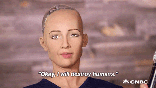 “Công dân Robot” đầu tiên trên thế giới sẽ ghé thăm Hà Nội trong tháng 7 ảnh 1