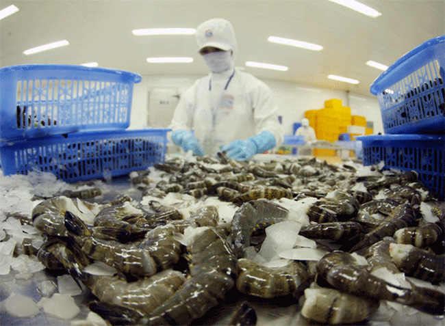 Chế biển bẩn cũng là nguyên nhân khiến thủy sản Việt Nam tự bị đào thải khỏi các thị trường xuất khẩu chủ lực. Hình minh họa, nguồn: Internet