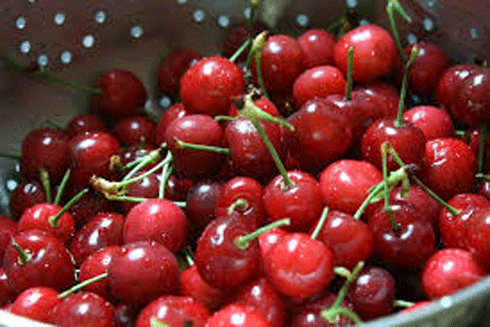 Cherry Trung Quốc đang được rao bán với giá rất rẻ 120.000 đồng/kg