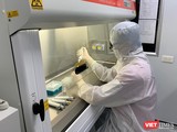 Các nhà khoa học của Trường Đại học Y Hà Nội bắt đầu nghiên cứu “Xây dựng quy trình kỹ thuật và chương trình đào tạo chẩn đoán SARS-CoV-2 trong phòng xét nghiệm"