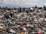 Người dân nhặt rác tại bãi rác Khánh Sơn, Đà Nẵng