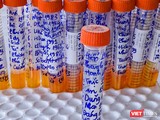 Mẫu xét nghiệm SARS-CoV-2 theo dạng gộp 10 được ngành y tế Đà Nẵng áp dụng thực hiện