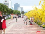 Một góc đường hoa Xuân Bạch Đằng ở Đà Nẵng ngày 29 Tết Nguyên đán Nhâm Dần 2022