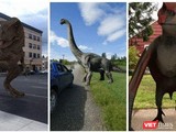 Google ứng dụng AR cho phép người dùng chiêm ngưỡng 10 loài khủng long khác nhau.