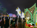 Người dân và du khách du xuân tại đường hoa Xuân Đà Nẵng.