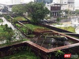 Một góc tường thành của Thành Điện Hải